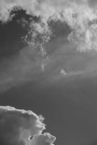 Worm Hunt – Snake game iO zone